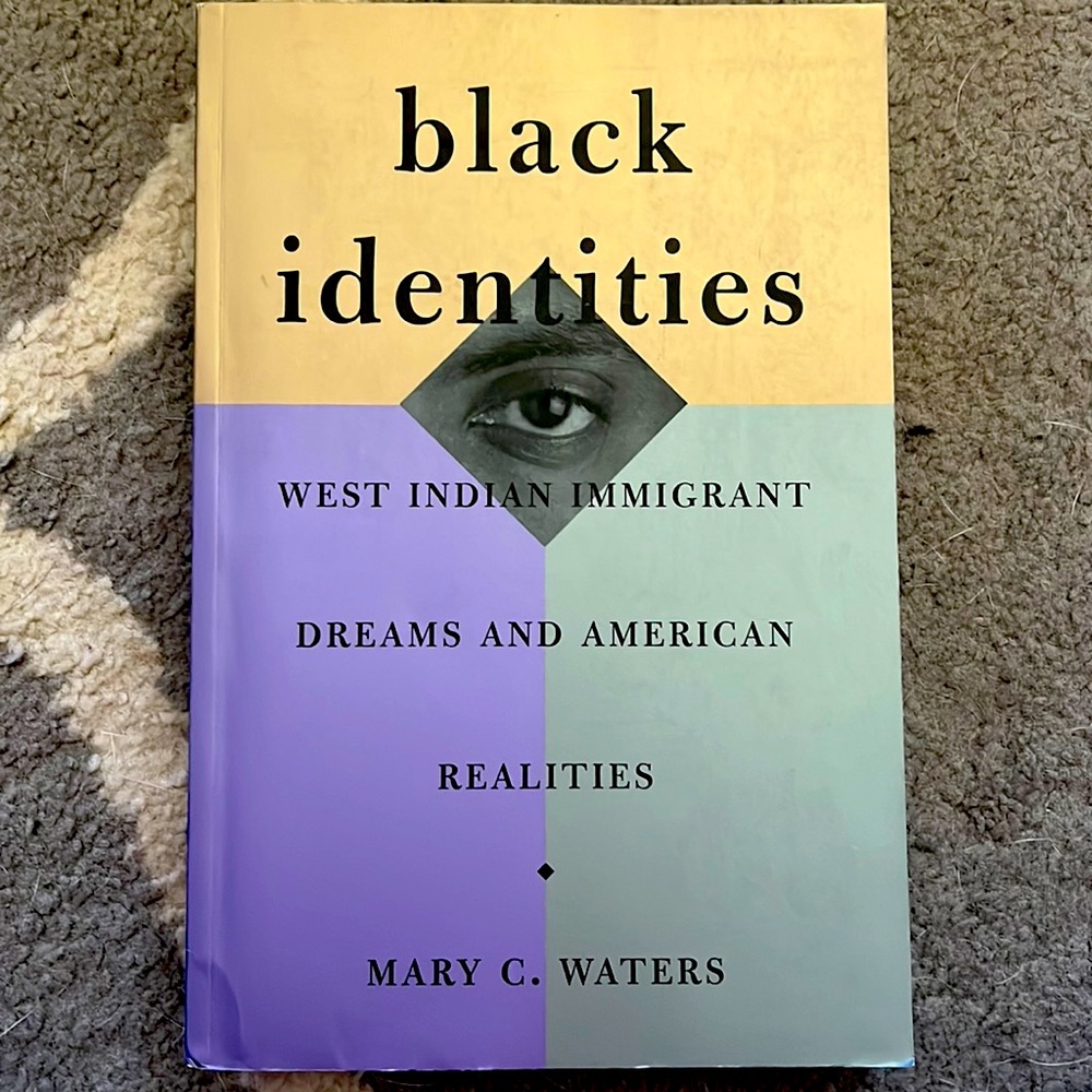 Black Identities by Mary C Walters